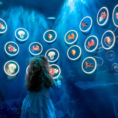 Young girl standing in front of a wall display featuring brightly lit circular windows, each showcasing a different sea creature linked to the marine life of the Gulf.