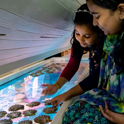 Two girls engaging with a digital touchscreen embedded under a large wooden dhow model, exploring pearl-themed interactive content with projected coral reef graphics.