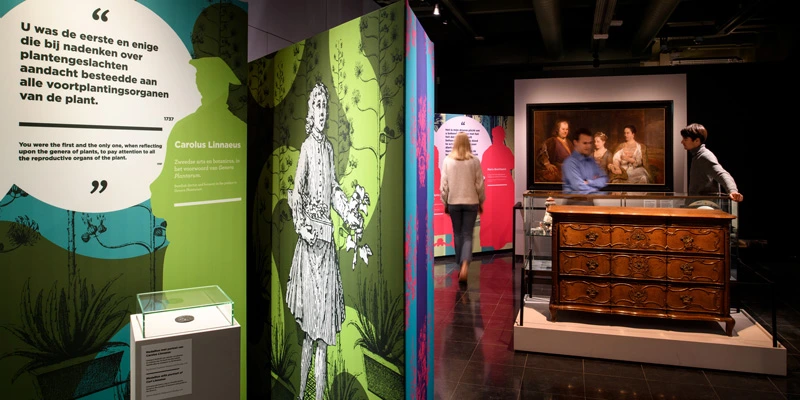 Three visitors inside a museum gallery featuring a finely crafted wooden dresser as a central exhibit, with a large family portrait and colorful illustrated walls displaying quotes and silhouettes, including a panel about Carl Linnaeus.