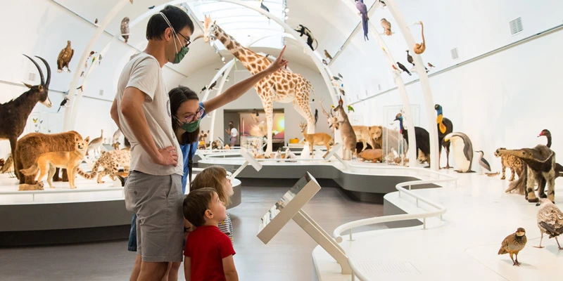 Family of four gathered around a touchscreen in the natural history gallery, as the mother points toward a taxidermy animal in the exhibit, surrounded by a diverse array of mounted species.