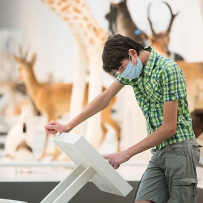 Teenage visitor wearing a mask and green checkered shirt, engaging with an angled touchscreen among mounted animal specimens.