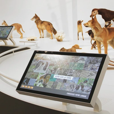 Close-up of a touchscreen interface titled “Vivre sur la Terre” (“Living on Earth”) with a visual network of animal images and taxidermy specimens in the background.