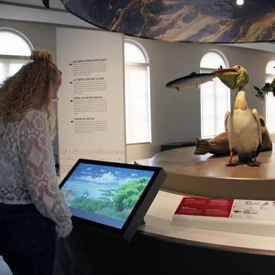 Visitor reading and interacting with a digital screen exploring weather phenomena, next to a pelican holding a fish and other mounted animals.