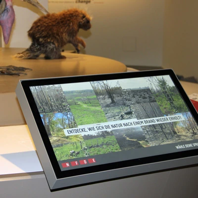 Close-up of a touchscreen showing post-wildfire regeneration scenes with the text “Entdecke, wie sich die Natur nach einem Brand wieder erholt” (“Discover how nature recovers after a fire”), with a porcupine specimen in the background.