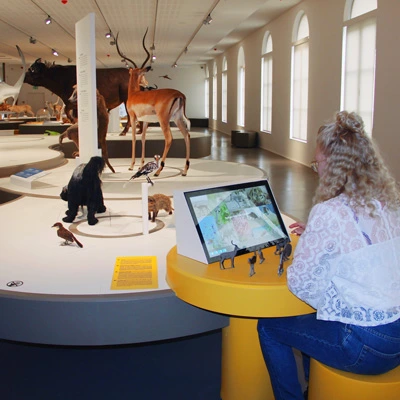A woman seated at a circular yellow interactive station using a touchscreen surrounded by animal figures, with mounted taxidermy animals in the background.
