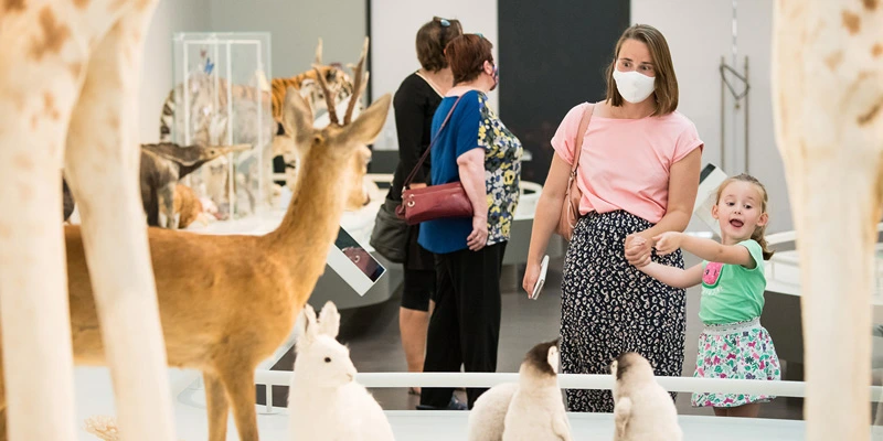 Mother and young child standing in front of a deer specimen while the child gestures excitedly, with other visitors and animal displays in the background.
