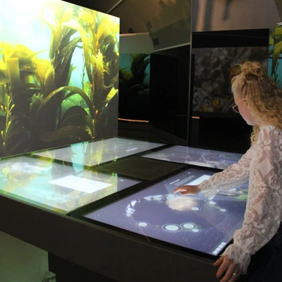 A woman engaging with a large digital table displaying an interactive globe, surrounded by nature-themed projections of underwater vegetation and marine life.