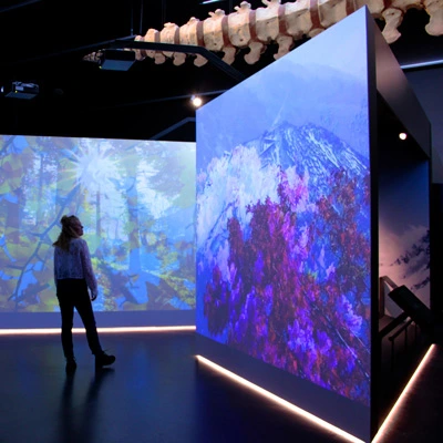 A woman standing in an immersive room with walls covered in large-scale projections of forest and mountain environments, surrounded by vivid color and light.