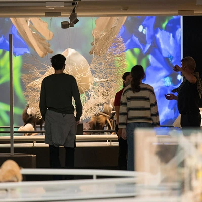 Visitors gather around a large immersive projection showing abstract, colourful nature imagery and a white branching structure in the center.