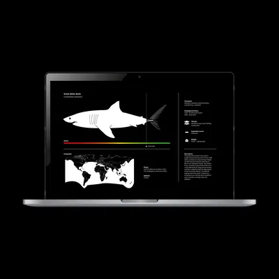 Laptop showing the companion app species detail page for a great white shark, with a white anatomical illustration on a dark background, a threat-level colour bar, and a world map indicating its range.