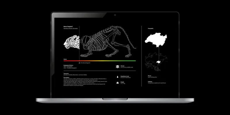 Laptop displaying the companion app detail page for the Amur Leopard (Panthera Pardus Orientalis), showing a white skeletal illustration, critically endangered status bar, geographic range map, and taxonomic data on a dark background.
