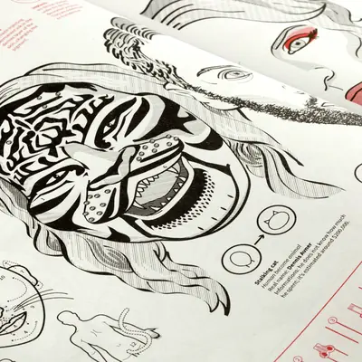 Close-up of the printed Physical Identity atlas spread, showing a detailed black ink illustration of the Stalking Cat with tiger-like facial tattoos, with caption text and diagrams visible below.